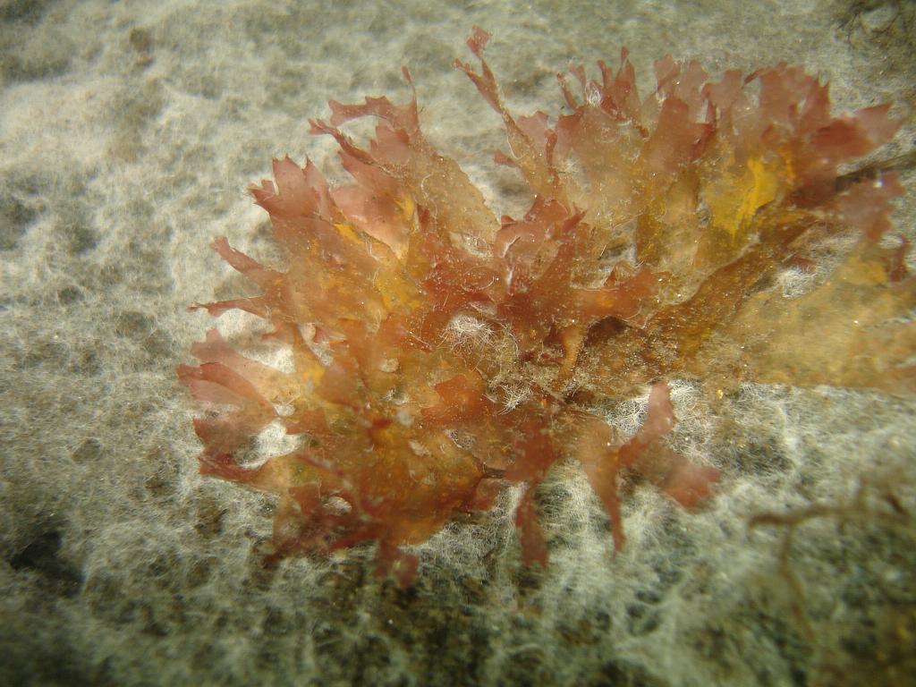 2008-06-28 12-04-35 H.JPG